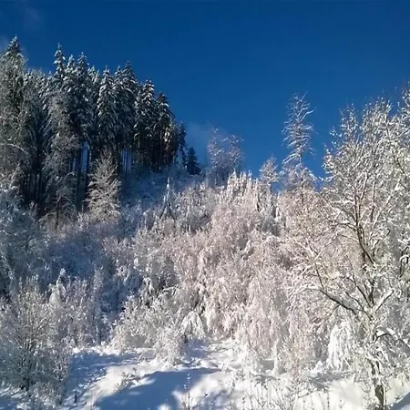 Close To The River Kamschlacken