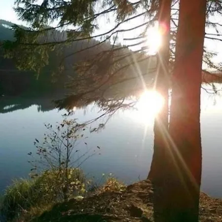 Дом отдыха Charmante Harzer Doppelhaushaelfte