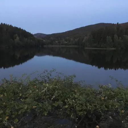 Дом отдыха Charmante Harzer Doppelhaushaelfte