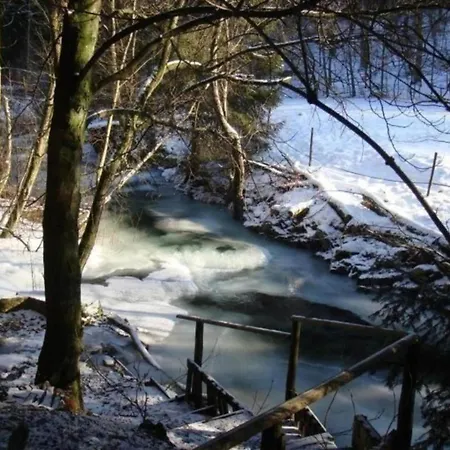 Charmante Harzer Doppelhaushaelfte