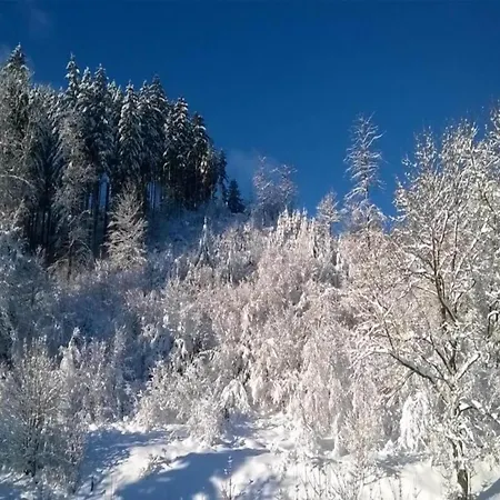 Charmante Harzer Doppelhaushaelfte * Kamschlacken